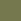 Greenish Umber 030B