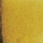 537③ Transparent Green Gold [+€2,90]