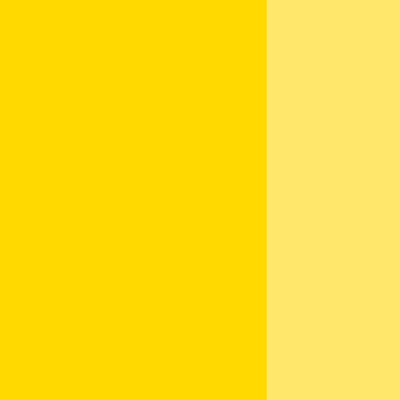 204 Cadmium Yellow Hue Light