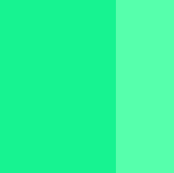 559 Turquoise Greenish