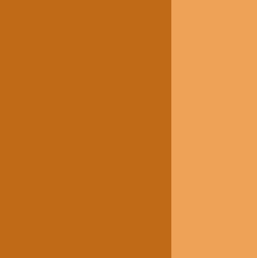 673 Raw Sienna