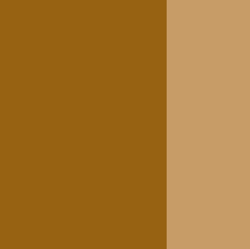 674 Raw Umber