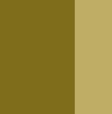 675 Umber Greenish