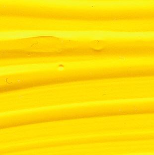 220 College Yellow