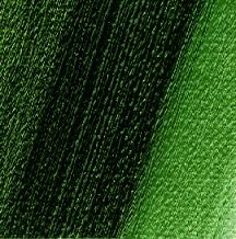 514① Sap Green