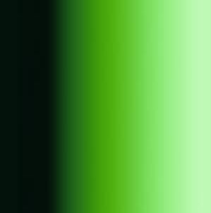 526② Sap Green [+€6,00]