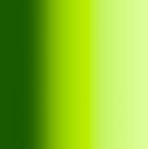 534③ Translucent Golden Green [+€15,90]