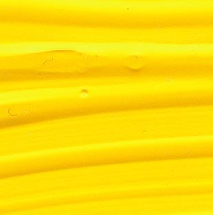 220 College Yellow
