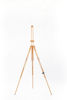Picture of CS-1 ◦ Field Easel for Two Canvasses