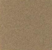 C05 Gris