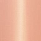 577 Flesh Tint