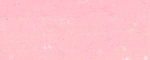 33 Magenta rose