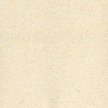 Picture of Lamali PTH05-Naturel, 67x97cm 