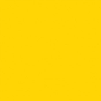 21 - Rich Yellow