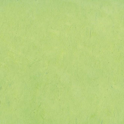 Εικόνα της Lamali Lokta P3B Vert Sauge, 50x75cm