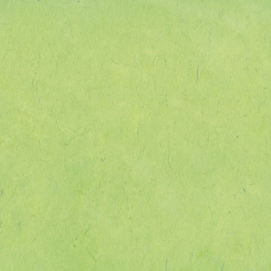 Εικόνα από Lamali Lokta P3B Vert Sauge, 50x75cm