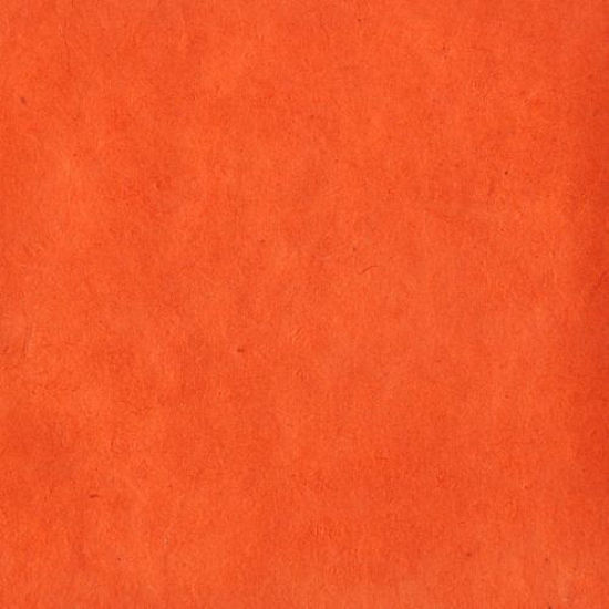 Εικόνα από Lamali Lokta P3B BR13 - Ocre Brule , 50x75cm