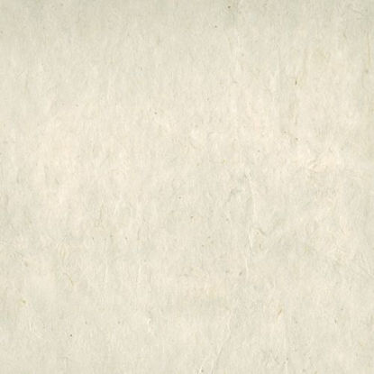 Εικόνα της Lamali Lokta P3B DBR11-Gr, 50x75cm