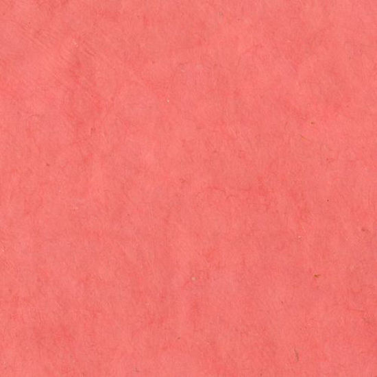 Εικόνα από Lamali Lokta P3B RDN-Framb, 50x75cm