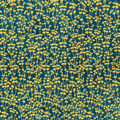 Εικόνα της PN477-5 BL8 Euphorbias Precious, 50x75cm