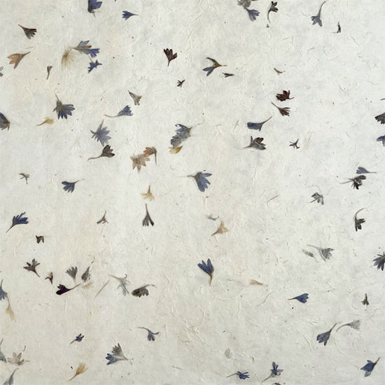 Εικόνα από Lamali PN469-2 Bleuet, 50x75cm