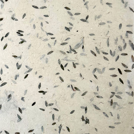 Εικόνα από Lamali PN469-3 Kaiyoko, 50x75cm