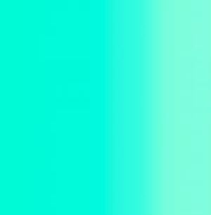 498⑥Cobalt Turquoise [+€31.71]