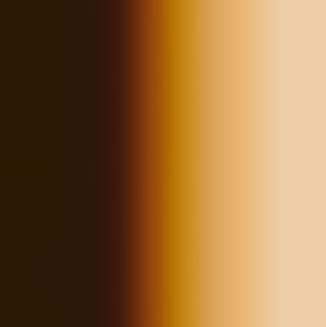 670① Raw Umber Light