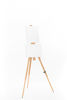 Picture of CS-1 ◦ Field Easel for Two Canvasses
