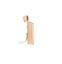 Picture of Brush Case-035