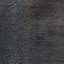 Picture of Lamali Pi61 - Cetoine, 56x76cm