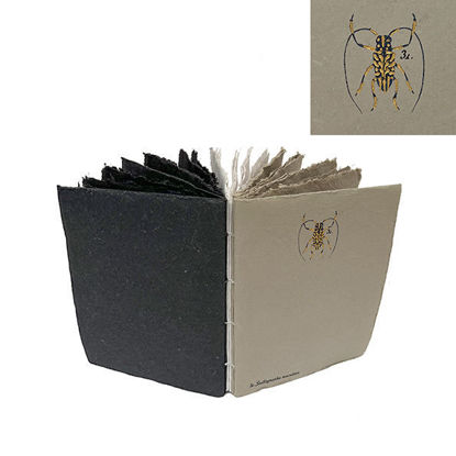 Εικόνα της Lamali LLJ160-1 Gris - Ento Bundle - 15x21 cm