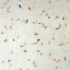 Εικόνα από Lamali PN469-1 Calendula, 50x75cm