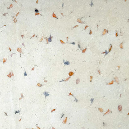 Εικόνα της Lamali PN469-1 Calendula, 50x75cm