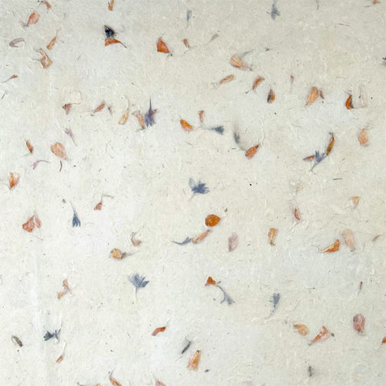 Εικόνα από Lamali PN469-1 Calendula, 50x75cm