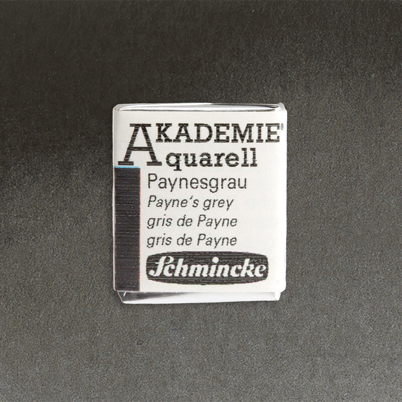 770 Payne‘s grey