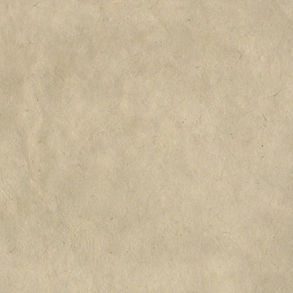 Εικόνα της Lamali Lokta P3B DBR1-Gris, 50x75cm