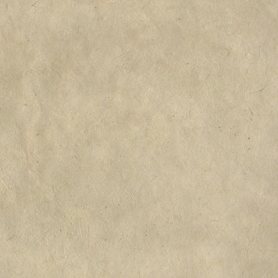Εικόνα από Lamali Lokta P3B DBR1-Gris, 50x75cm