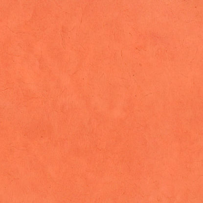 Εικόνα της Lamali Lokta P3B BR21 - Roux , 50x75cm