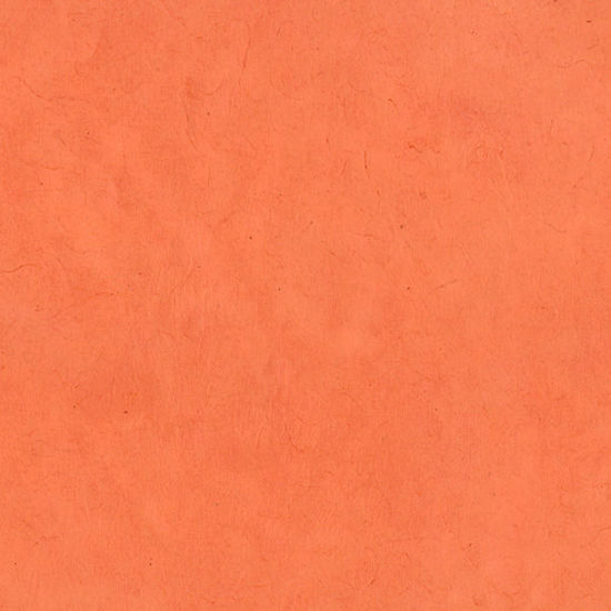 Εικόνα από Lamali Lokta P3B BR21 - Roux , 50x75cm