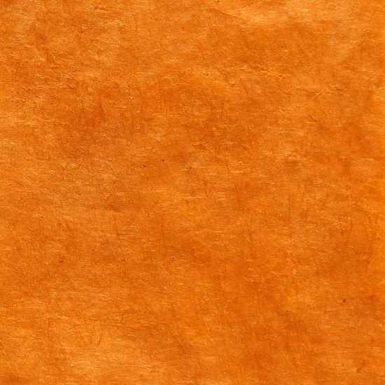 Picture of Lamali Lokta P3B BR30 - Champagne, 50x75cm