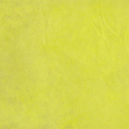 Εικόνα της Lamali Lokta P3B GR8 - Absithe, 50x75cm