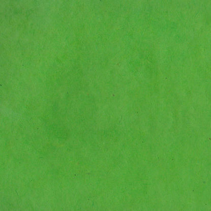 Εικόνα της Lamali Lokta P3B GR7 - Lime, 50x75cm