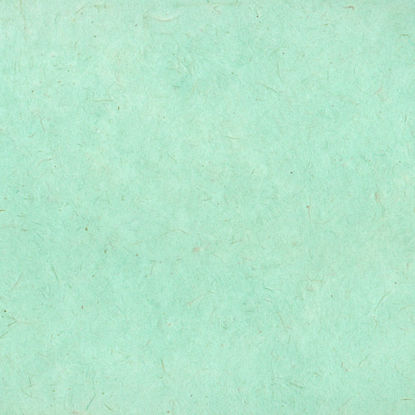 Εικόνα της Lamali Lokta P3B GR20, 50x75cm