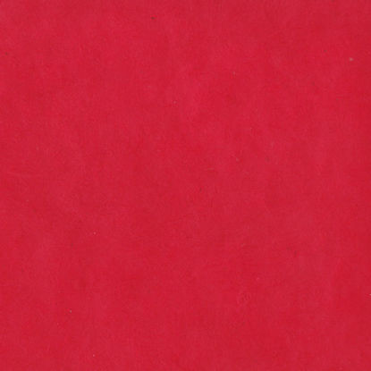 Εικόνα της Lamali Lokta P3B RD6 Rouge laque, 50x75cm