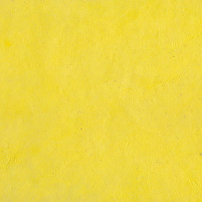 Εικόνα της Lamali Lokta P3B YL7, 50x75cm