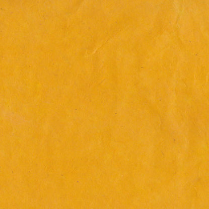 Εικόνα της Lamali Lokta P3B YL8, 50x75cm