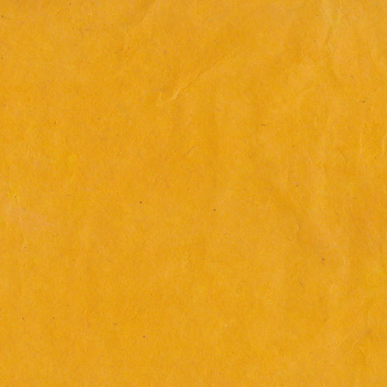 Εικόνα από Lamali Lokta P3B YL8, 50x75cm