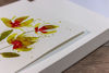Εικόνα από Concept Watercolor Joy Hahnemuhle, 300gr