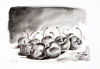 Picture of Schmincke Liquid Charcoal 3 x 5ml